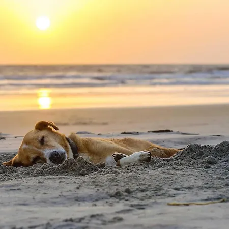 5 Sterne Boddenzauber In Ruhiger Lage Mit Traumhaftem Ausblick * Wustrow (Fischland)